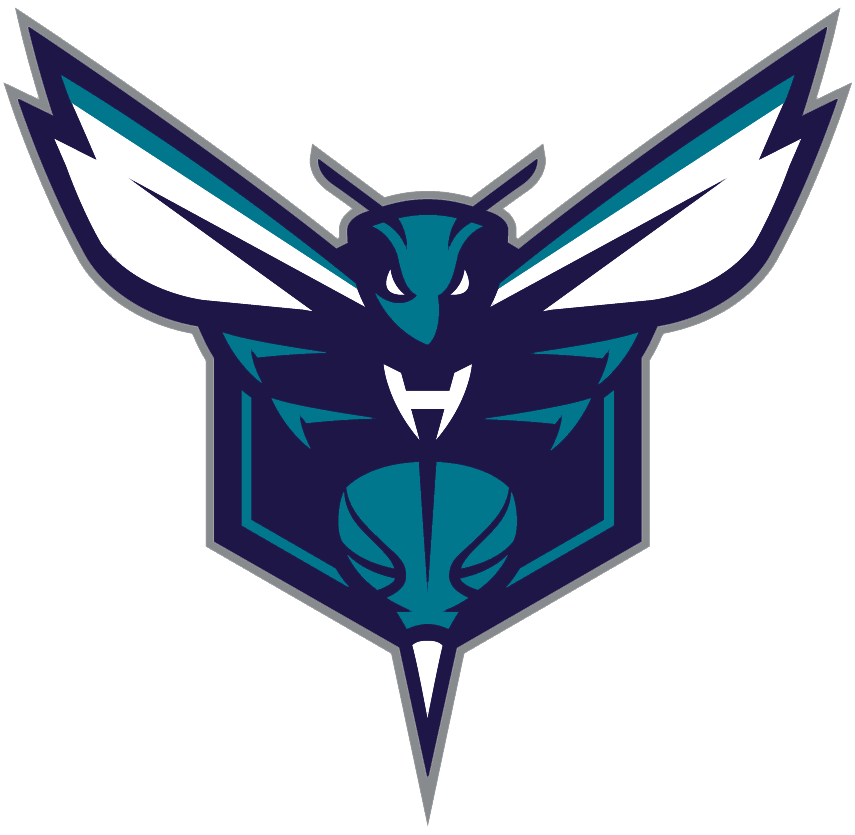 Charlotte Hornets 2014-Pres Alternate Logo iron on transfers for fabric version 2